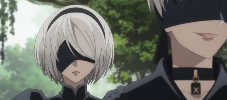 30 2B 9S NieR Automata Anime