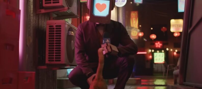 31 Stray PlayStation