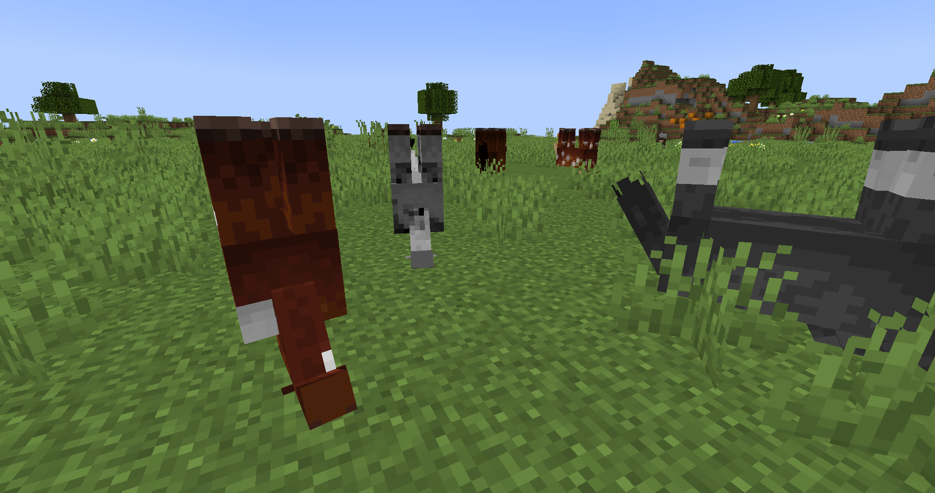 All Name Tag Tricks in Minecraft (2023)