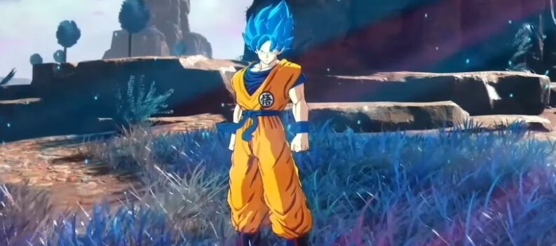 06 Dragon Ball Z Budokai Tenkaichi 4