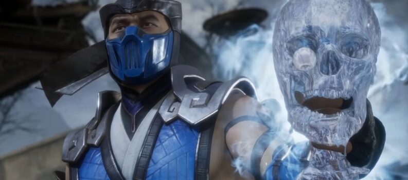 17 Sub Zero Mortal Kombat 11