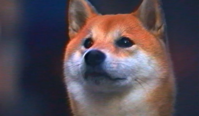 Guide Silly Hoomans in Date Announcement for ‘Humanity’