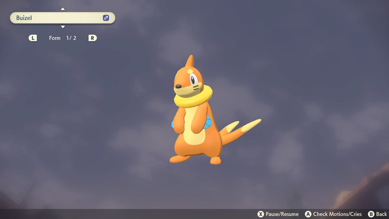 Pokemon Legends: Arceus Ultimate Buizel Guide