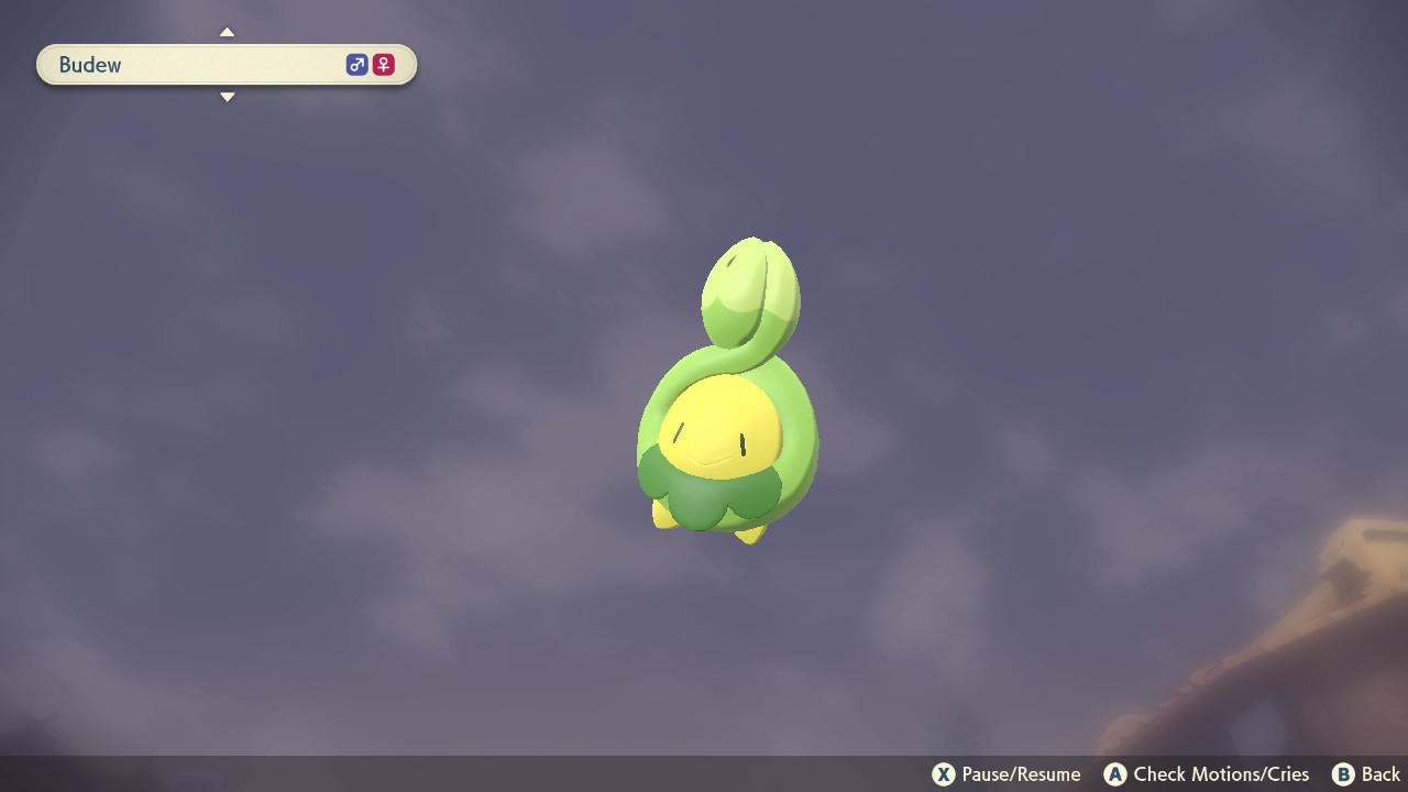 Pokemon Legends: Arceus Ultimate Budew Guide