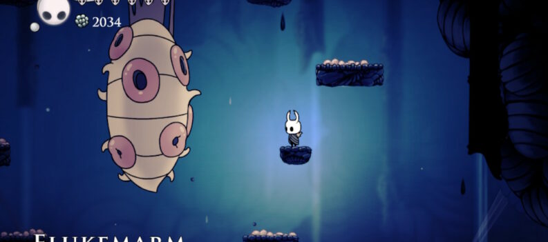 Flukemarm Hollow Knight