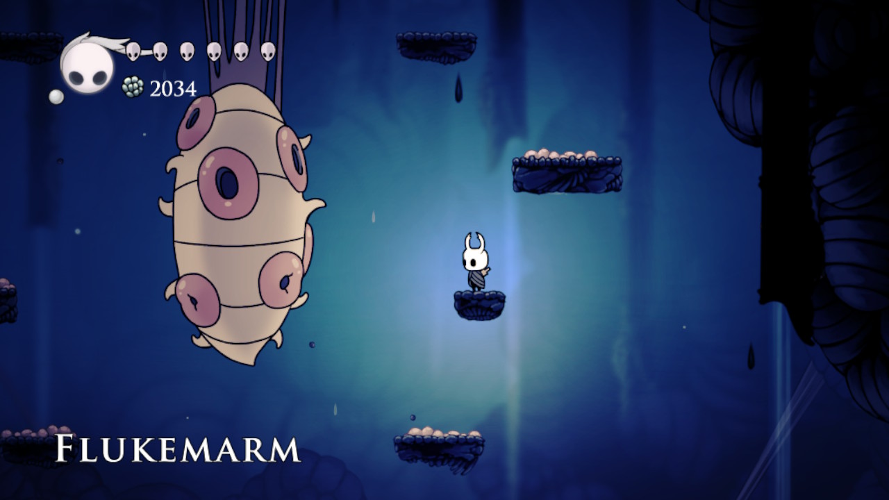 Flukemarm Hollow Knight