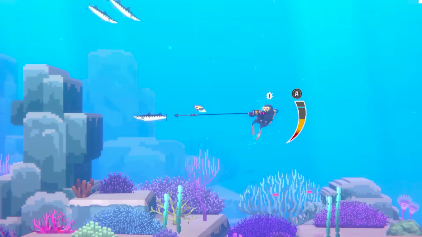 Dave trying to catch a fish.